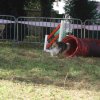 foire-haricots 2011-09-17et18